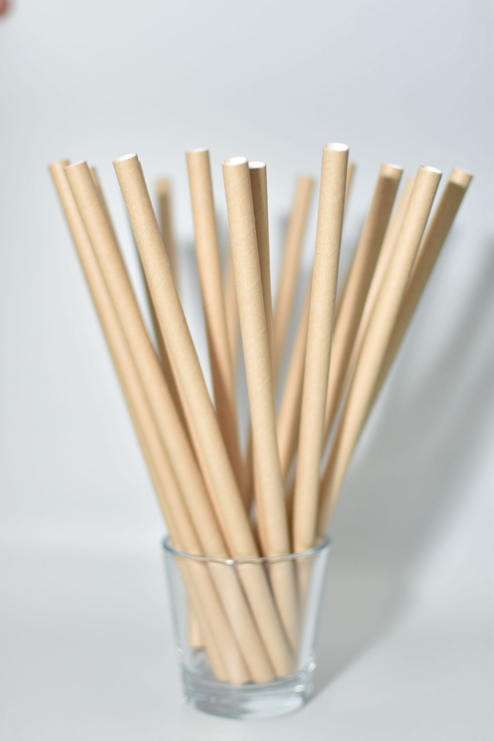 PAIE DE BĂUT DIN HÂRTIE, NATUR (197X8MM) – SET 400 BUCĂȚI 2