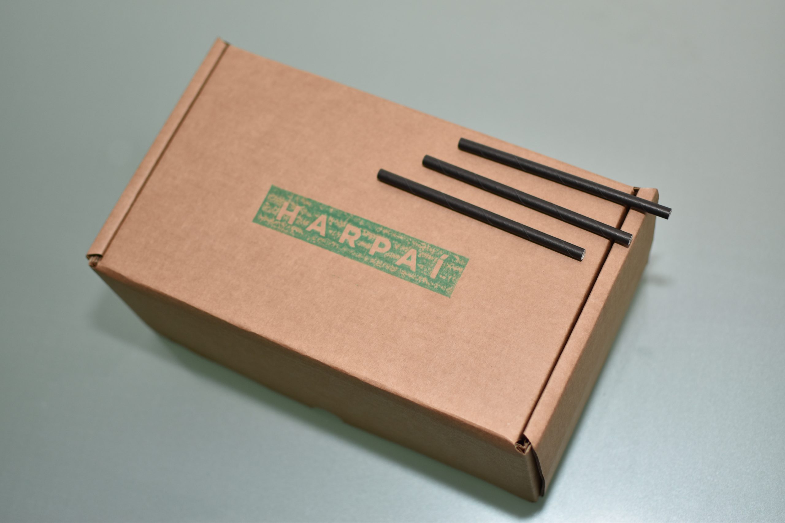 PAIE DE BĂUT DIN HÂRTIE – NEGRU – SET 800 BUCĂȚI (120X6MM) 3
