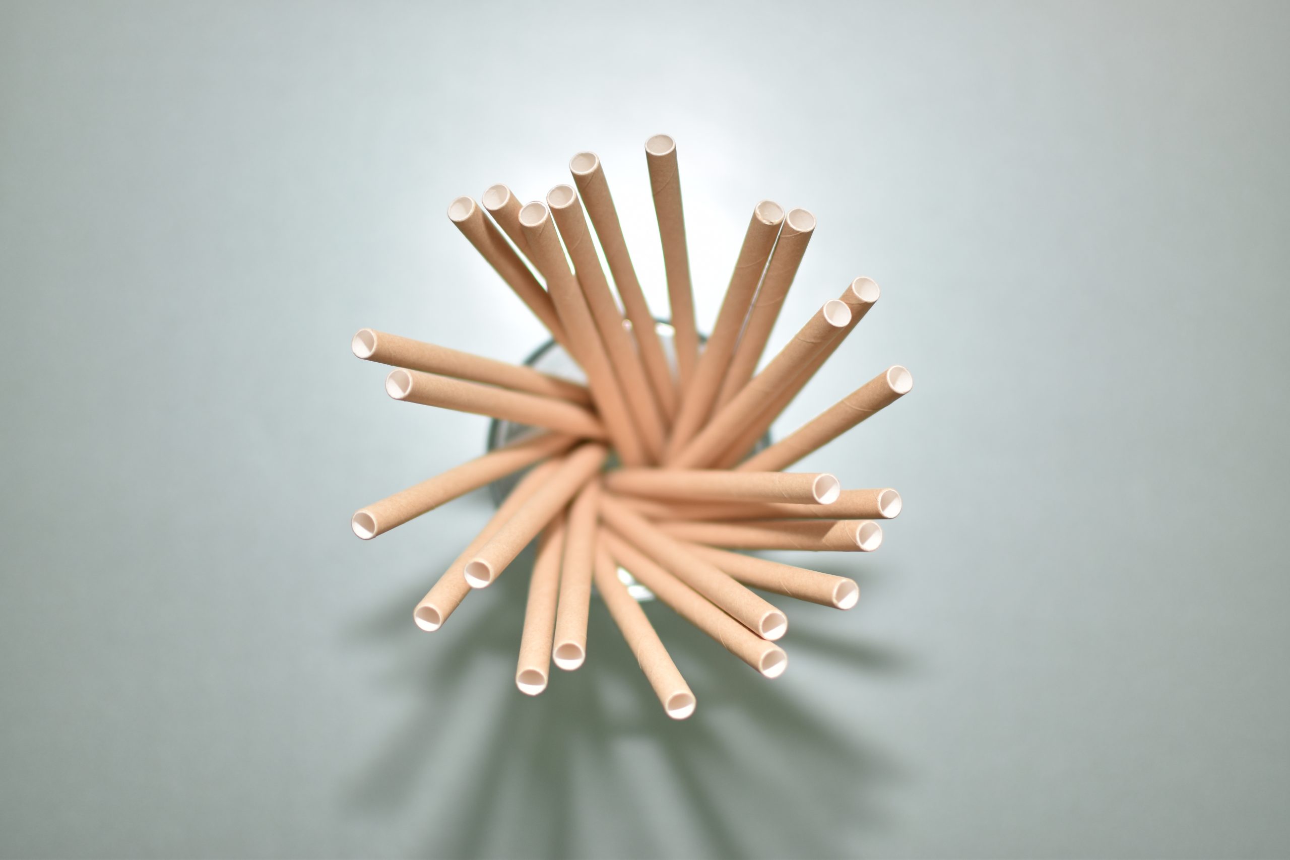 PAIE DE BĂUT DIN HÂRTIE – NATUR – SET 800 BUCĂȚI (120X6MM) 2