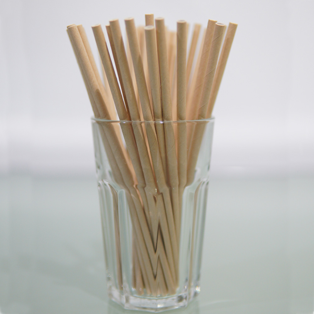 PAIE DE BĂUT DIN HÂRTIE, NATUR (197X6MM) – SET 400 BUCĂȚI 3