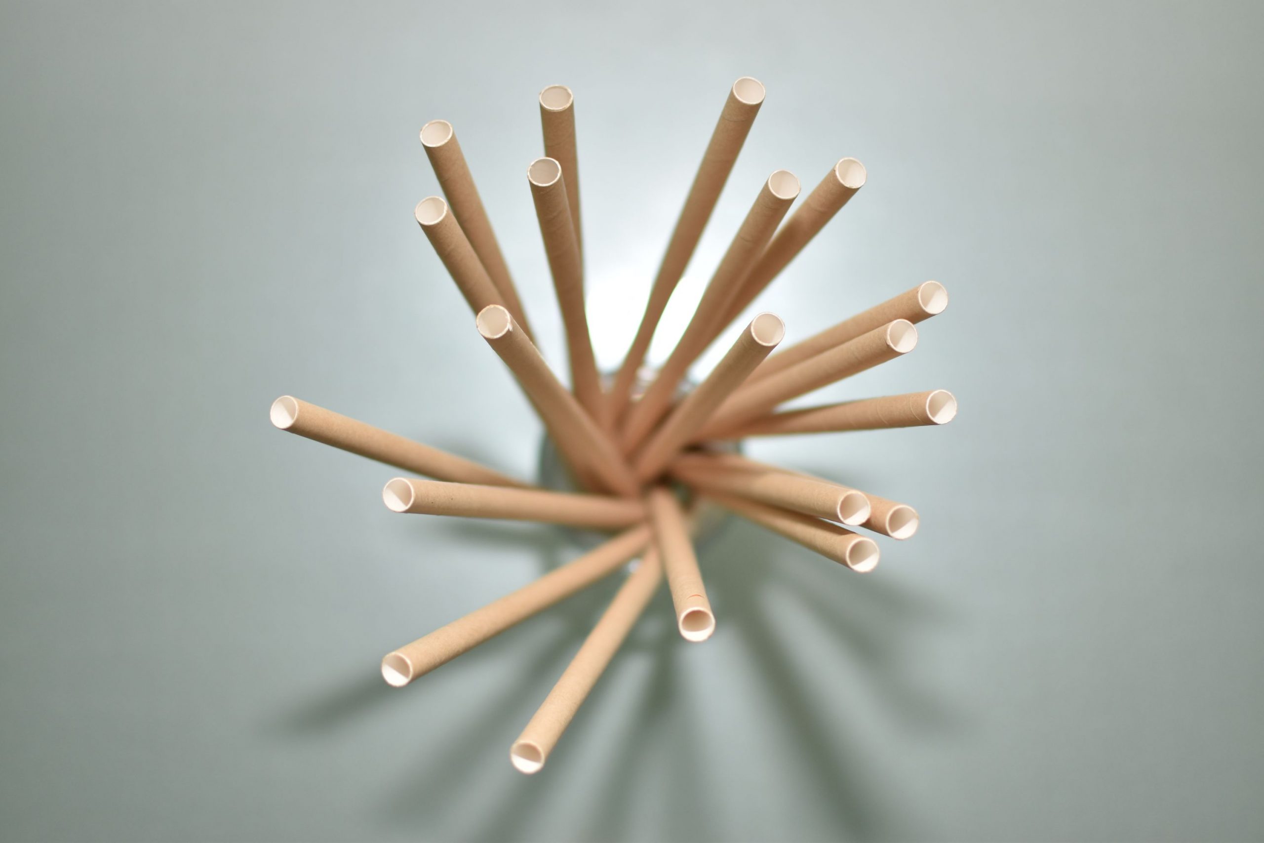 PAIE DE BĂUT DIN HÂRTIE, NATUR (197X8MM) – SET 400 BUCĂȚI 3